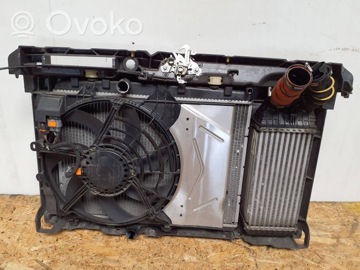 Citroen C4 Cactus Radiator support slam panel 9801492280