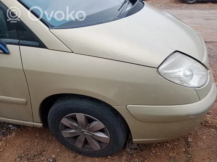 Citroen C3 Front arch 