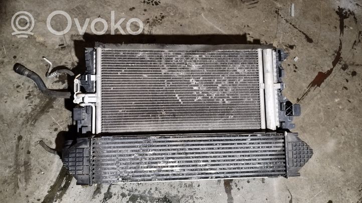 Ford Mondeo MK IV Pannello di supporto del radiatore 940002904