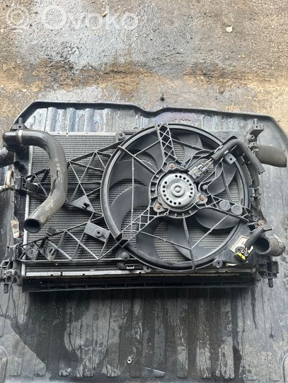 Fiat doblo radiator top
