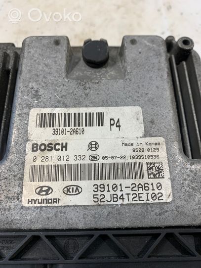 KIA Rio Sterownik / Moduł ECU 391012A610