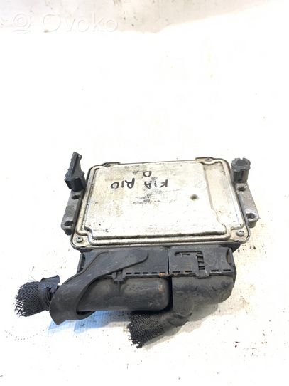 KIA Rio Sterownik / Moduł ECU 391012A610