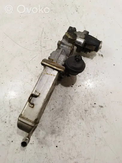 Volkswagen PASSAT B7 EGR valve 0280751016