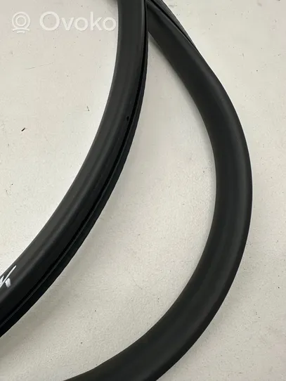 Audi A6 S6 C6 4F Front door rubber seal 