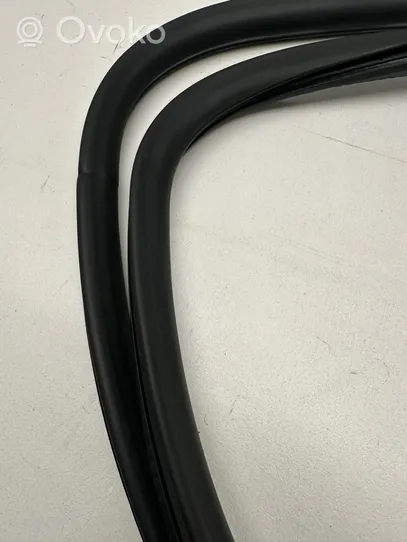 Audi A6 S6 C6 4F Front door rubber seal 