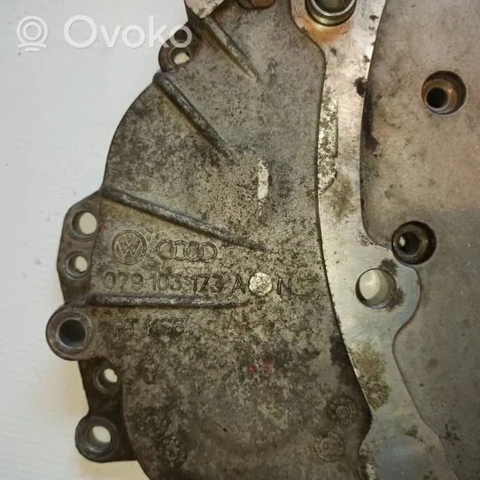 Audi A8 S8 D3 4E Timing chain cover 079103173A