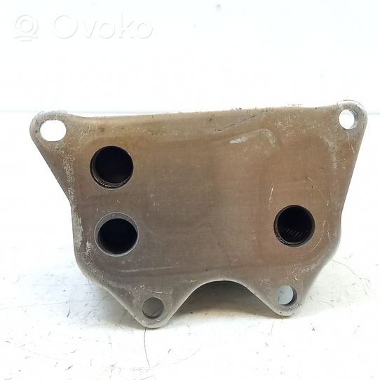 Volkswagen Golf VI Supporto di montaggio del filtro dell’olio 06J117021J