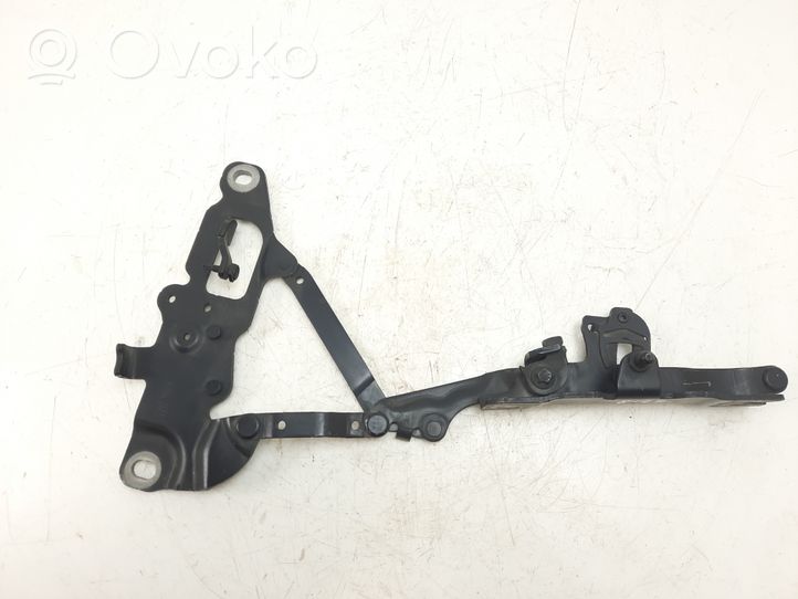 BMW 6 F12 F13 Cerniere del vano motore/cofano 7249888