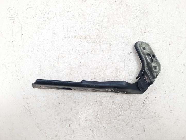 Audi RS6 C6 Engine bonnet/hood hinges 4F0823302