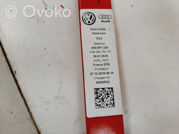 Audi A8 S8 D4 4H Negative earth cable (battery) 4H0971225