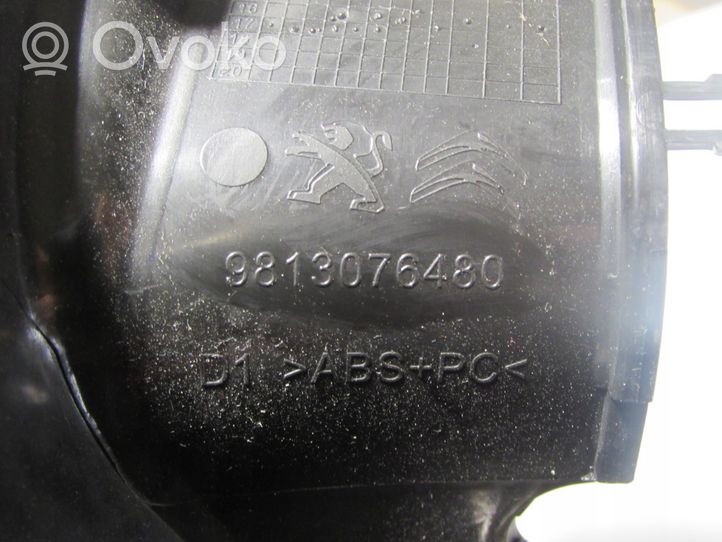 Citroen C3 Coque de rétroviseur 9813076580