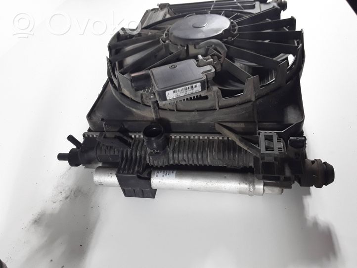 Ford C-MAX II Set del radiatore 8V618C607EB