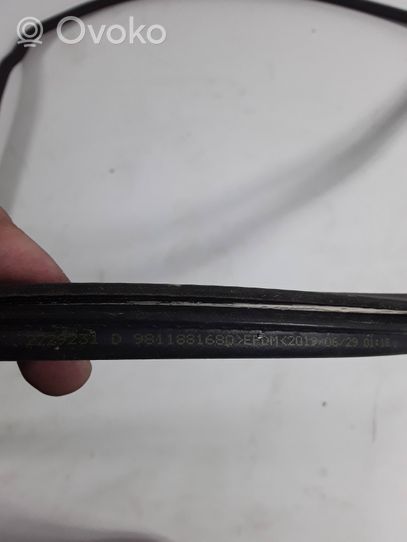 Citroen DS7 Crossback Sunroof sealing rubber 9811881680