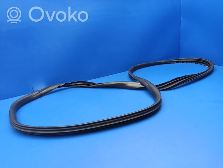 Volvo S40 Front door rubber seal S40