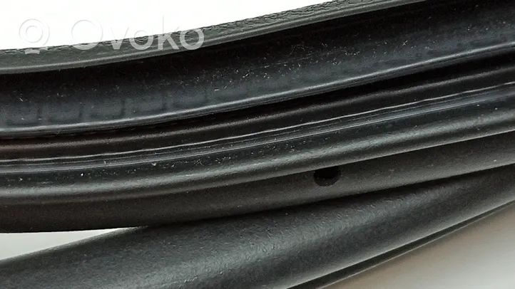 Nissan Primastar Front door rubber seal 