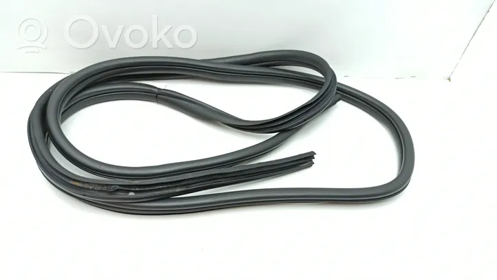 Nissan Primastar Front door rubber seal 