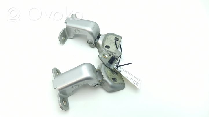 Nissan Primastar Set di cerniere portiera anteriore 311772N