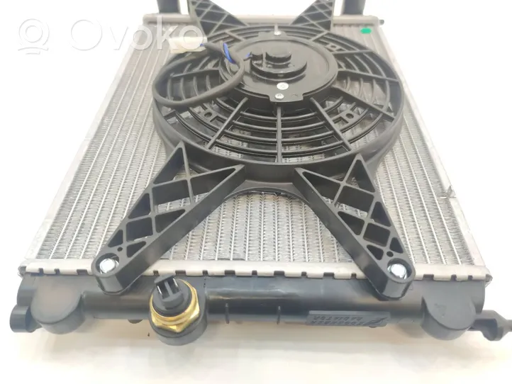 Ligier JS 50 Set del radiatore 1401878