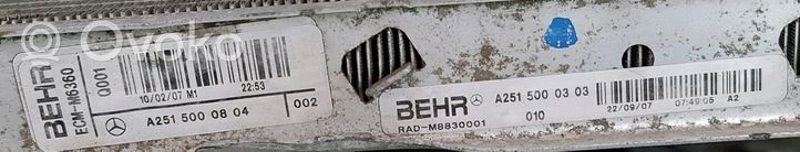 Mercedes-Benz ML W164 Coolant radiator A2515000804