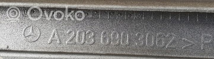 Mercedes-Benz C W203 Listón embellecedor de la puerta delantera (moldura) A2036903062
