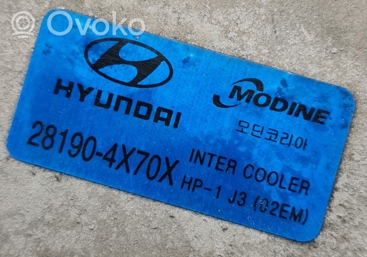 Hyundai Terracan Välijäähdyttimen jäähdytin 281904X70X