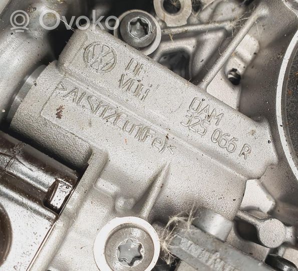 Volkswagen Carocha Support boîte de batterie 325066R