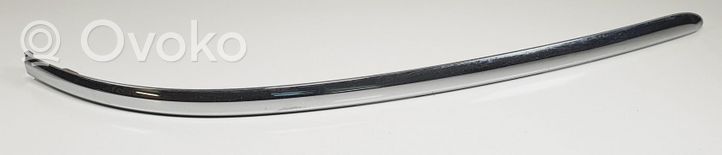 Jaguar S-Type Front bumper splitter molding 4R83-17B970-DBW