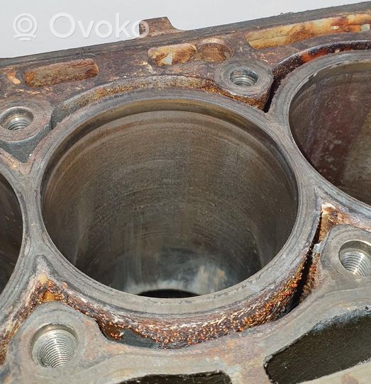 Volkswagen Golf VI Engine block CAX