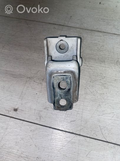 Renault Megane II Rear door lower hinge 253z0