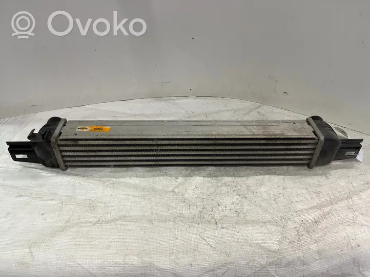 Peugeot Bipper Radiatore intercooler 2002199