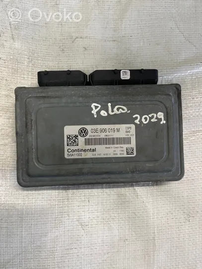 Volkswagen Polo V 6R Engine control unit/module 03E906019M