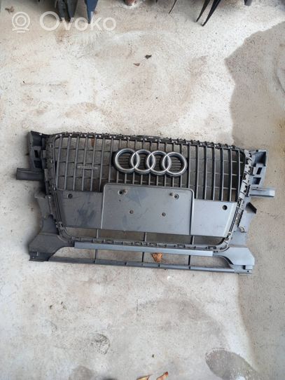 Audi Q7 4L Front grill 