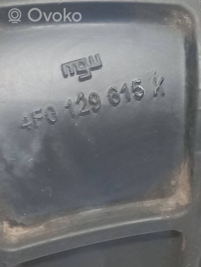 Audi A6 S6 C6 4F Žarna (-os)/ vamzdis (-džiai) 4f0129615K