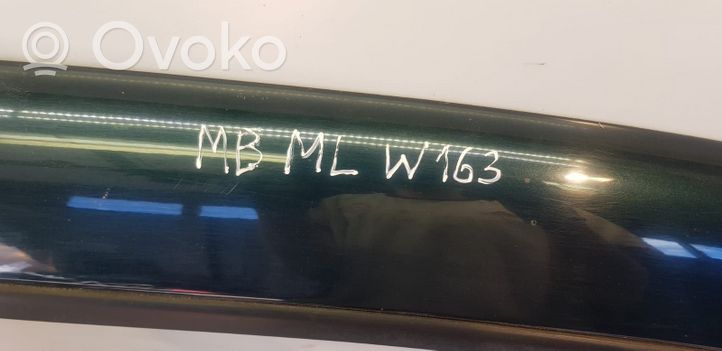 Mercedes-Benz ML W163 Drzwi przednie 