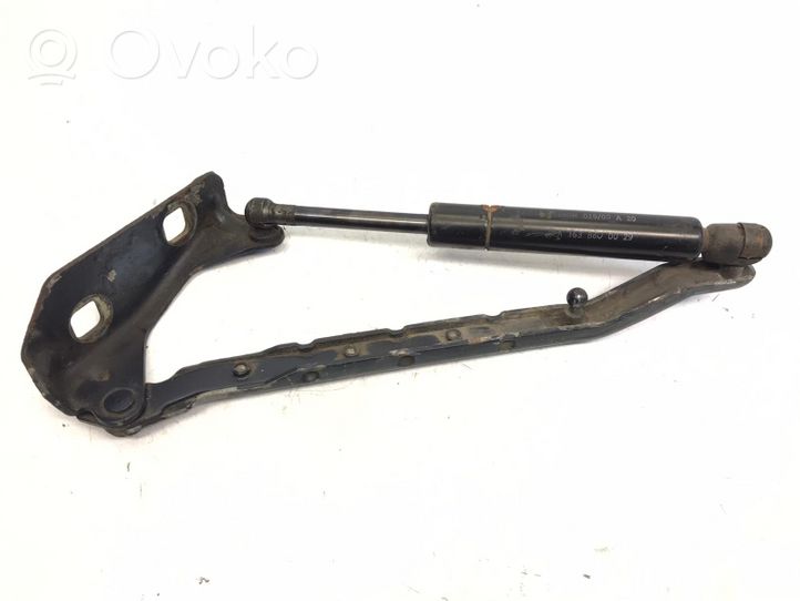 Mercedes-Benz ML W163 Cerniere del vano motore/cofano A1638800029