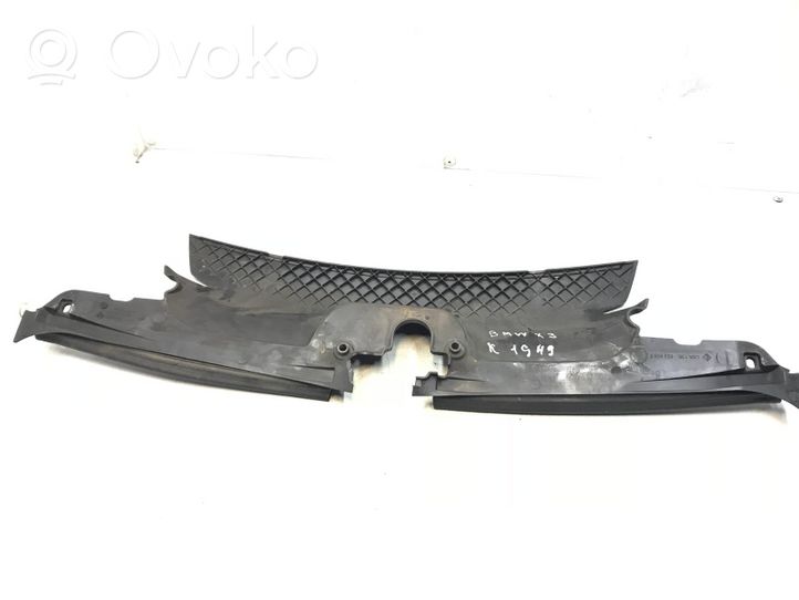 BMW X3 E83 Rivestimento della modanatura della chiusura del vano motore/cofano 3402286