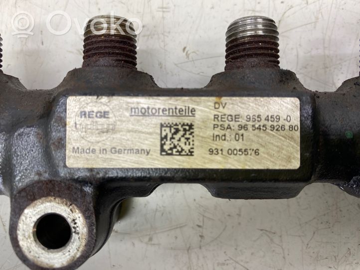 Chevrolet Cruze Fuel main line pipe 96545901
