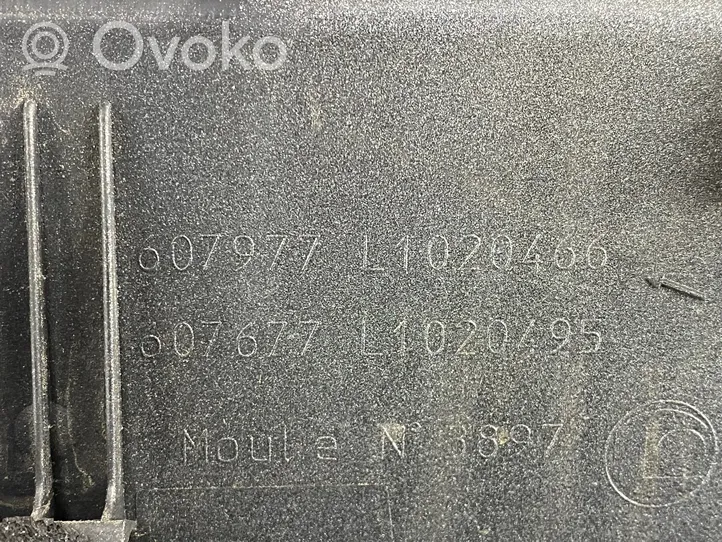 Citroen C4 I Picasso Galinio dangčio numerio apšvietimo juosta 607977L1020466