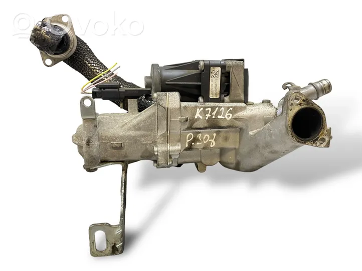 Peugeot 308 Valvola EGR 5056390200