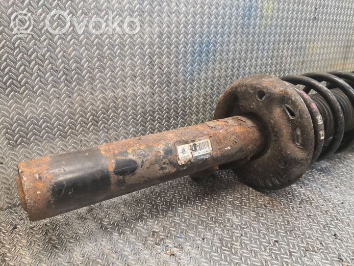 Volkswagen Eos Front shock absorber/damper 1T0413031DN