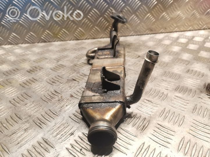 Mercedes-Benz CLK A209 C209 EGR aušintuvas 6421400175