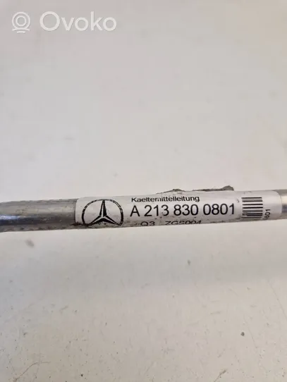 Mercedes-Benz GLC X253 C253 Manguera/tubo del aire acondicionado (A/C) A2138300801
