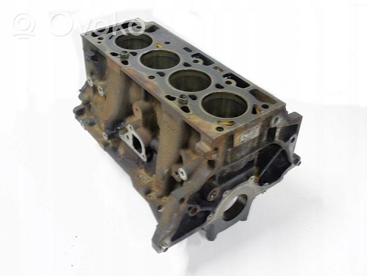 Ford Fiesta Blok silnika 1N2G-6015AE