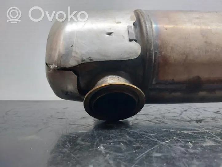 Volkswagen Polo V 6R Catalyst/FAP/DPF particulate filter 