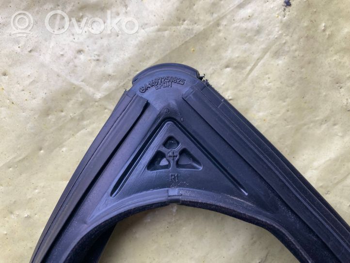 Mercedes-Benz A W169 Rivestimento modanatura del vetro della portiera anteriore A1697250825