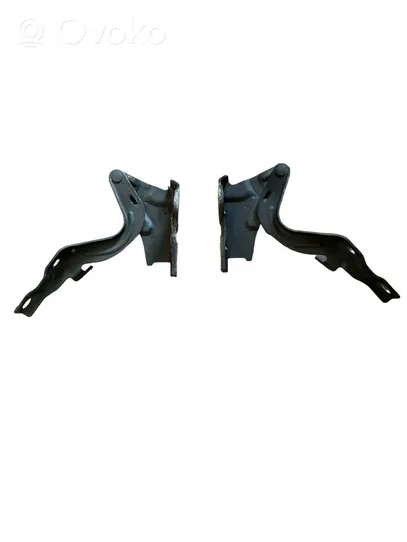 Hyundai Santa Fe Engine bonnet/hood hinges 