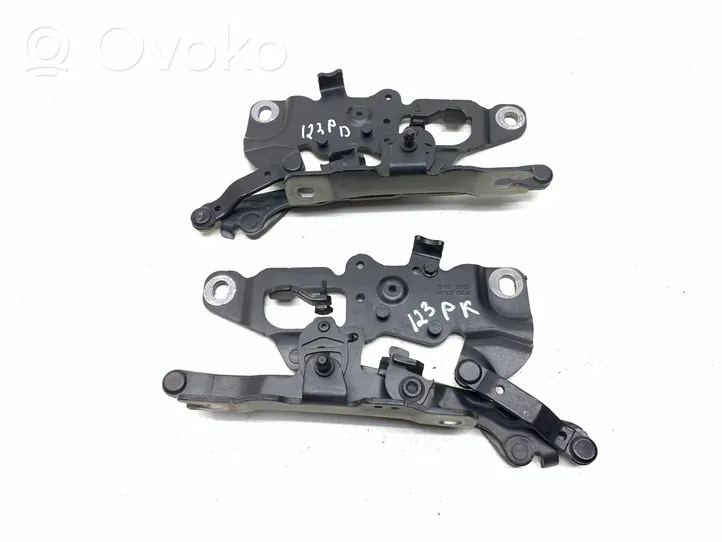 BMW 7 F01 F02 F03 F04 Bisagras del capó/tapa del motor 725080503