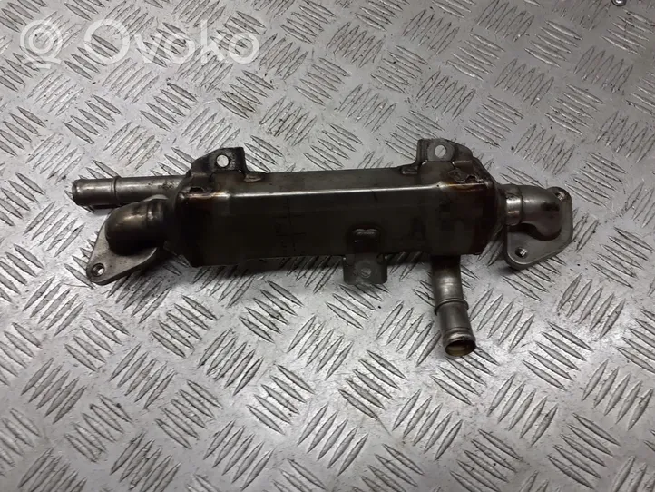 Seat Alhambra (Mk1) EGR aušintuvo kronšteinas 038131513L