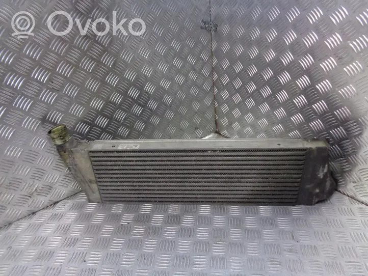 Renault Megane II Starpdzesētāja radiators 8200115540