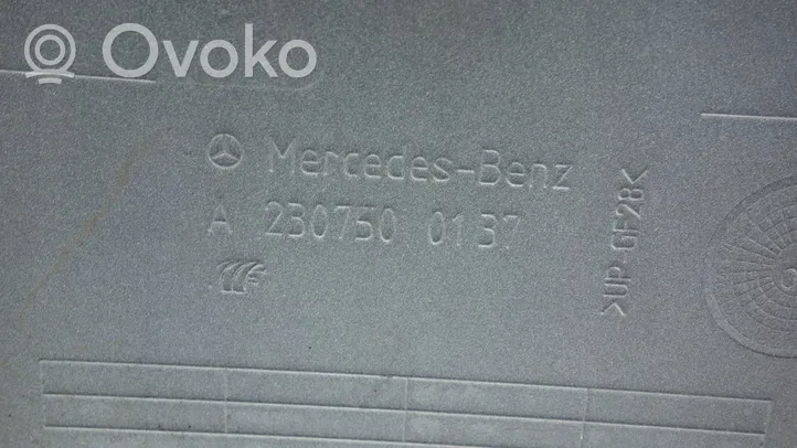 Mercedes-Benz SL R230 Apdaila galinio dangčio a2307500137